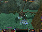 a young wyvern